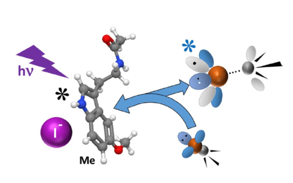 Phosphorescence-formation